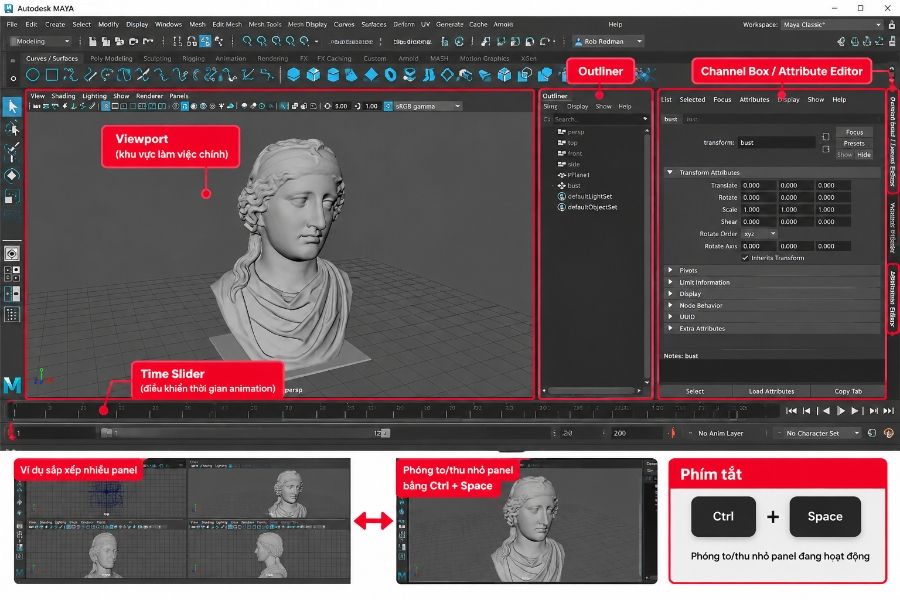 Bố tr&iacute; c&aacute;c bảng c&ocirc;ng cụ theo nhu cầu modeling hoặc animation, ưu ti&ecirc;n những khu vực cần thao t&aacute;c thường xuy&ecirc;n