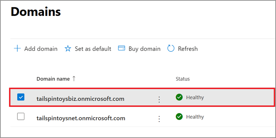 Onmicrosoft Domains