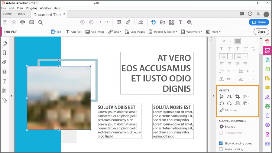Adobe Acrobat  (5)