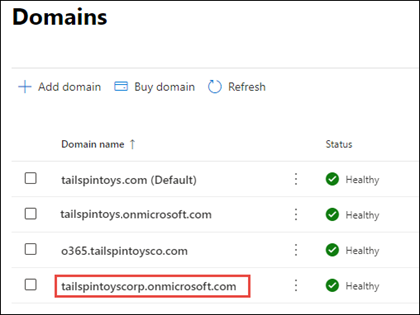 Onmicrosoft Domains Added