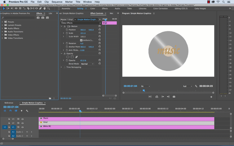 Adobe Premiere (4)