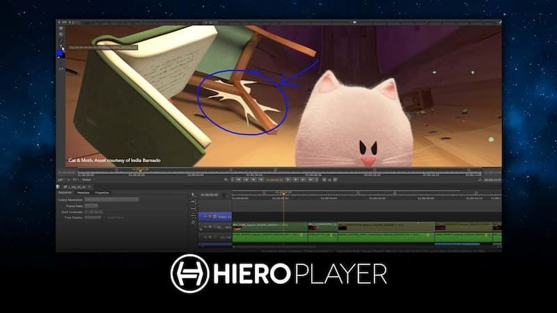 Giao diện review timeline của phần mềm HieroPlayer