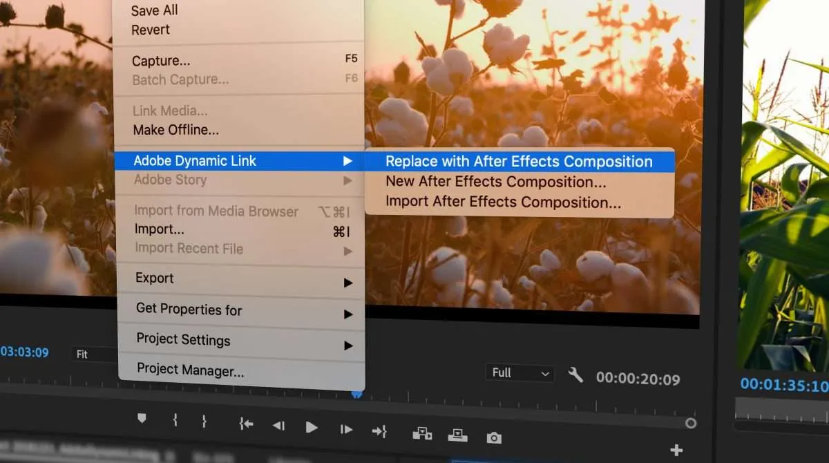 Adobe Affer Effects (1)
